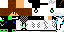 Texture for lider