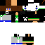 Texture for Snup