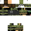Texture for wil5
