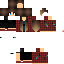 Texture for ACE EXCEL mom