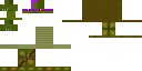 Texture for Mo Creatures Turtle D