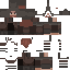 Texture for npc