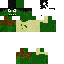 Texture for gimpy