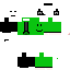 Texture for leondragon