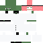 Texture for pepe frog arabe