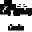 Texture for maxwell the cat skin