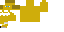 Texture for Lion
