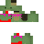 Texture for turtle