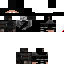 Texture for Kingapdo