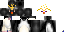 Texture for Penguin Army