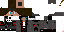 Texture for myrage41