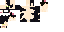 Texture for Cat.patches