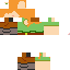 Texture for s