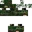Texture for ...