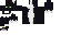 Texture for cat