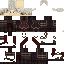 Texture for Dyon s 37