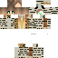 Texture for zebra