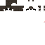 Texture for g