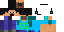 Texture for cg