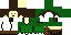 Texture for LINK
