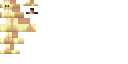 Texture for Maggot