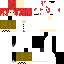 Texture for syankusu