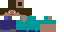 Texture for Steve