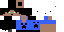 Texture for vitor