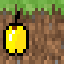 Texture for Minecraft