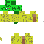 Texture for ananas