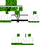 Texture for Ninja
