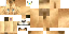 Texture for lion