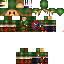 Texture for Link