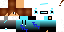 Texture for levi