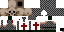 Texture for templar
