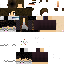 Texture for Cllamie