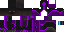 Texture for TlinkEnderMage