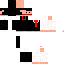 Texture for leung2
