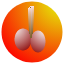 Texture for Fireball.mp4