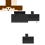 Texture for Graphis1