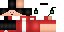 Texture for Steve