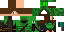 Texture for Forest Defender