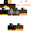 Texture for Kwon