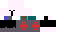 Texture for custom made templar from the steve skin