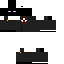 Texture for Ender