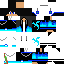 Texture for STEVE 500