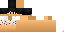 Texture for sigvep platform