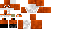 Texture for Pet fox