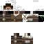 Texture for Steve