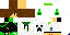 Texture for david
